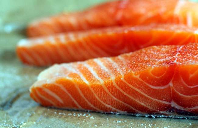 Salmon and Weight Loss